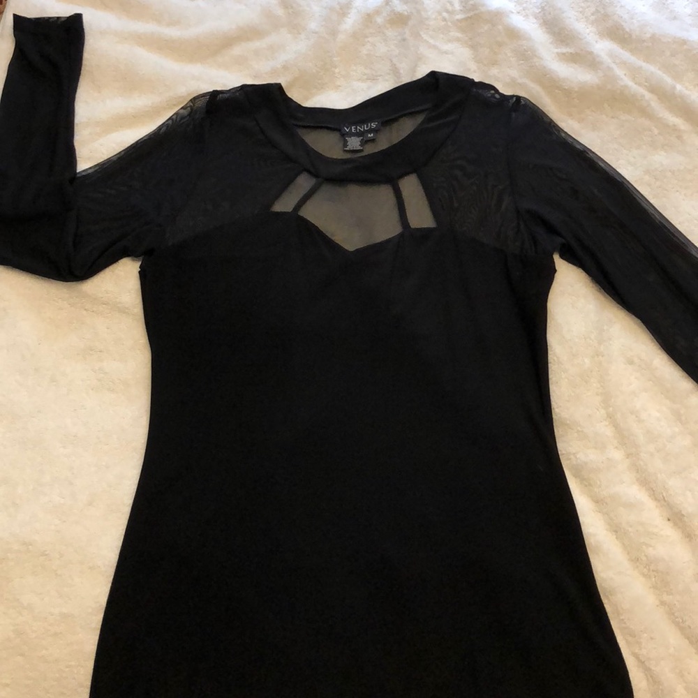 Ladies Sheer long sleeve dress shirt